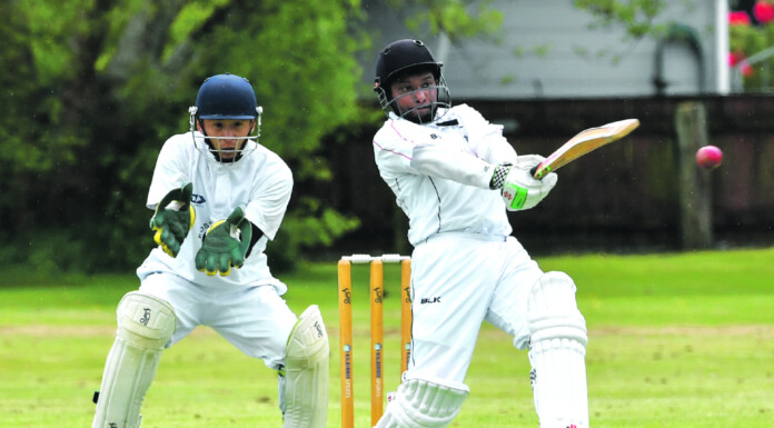 Wairarapa Cricket Association  The Official Home of Wairarapa Cricket